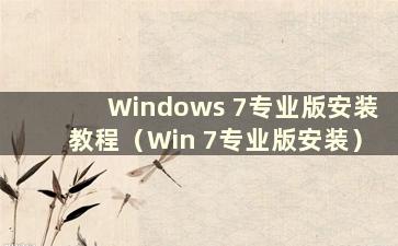 Windows 7专业版安装教程（Win 7专业版安装）